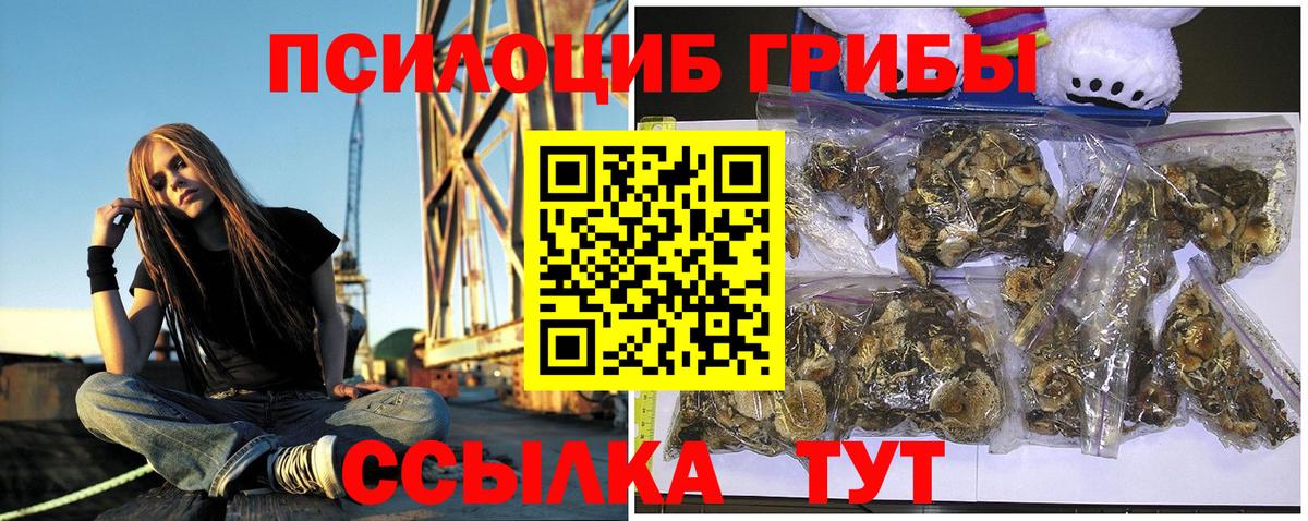 Тавда  Галлюциногенные грибы Cubensis  Вход с VPN 